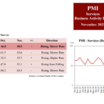 Sri Lanka services activities expands at slower rate in November: PMI
