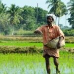 Cyclone Ditwah Devastates Crop Lands; Government Announces Compensation Package