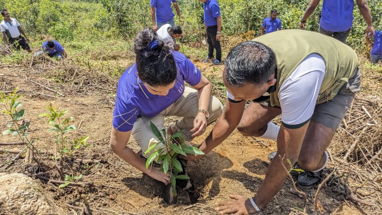 Rooted in Change: Kelani Valley’s Bold Climate Crusade with UN Global Compact Network Sri Lanka