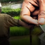 Term limit extended for agricultural pension