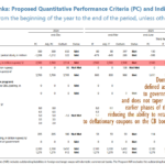 Sri Lanka to seek central bank dollars for debt repayment if IMF tranche delayed