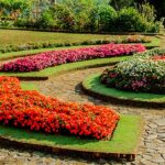 Sri Lanka re-opens Haggala botanical gardens for tourists