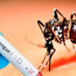 Rising Dengue Cases: Public Health, Governance, and Preparedness