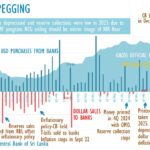 Sri Lanka Central Bank Acquires $250 Million Amidst Rupee Depreciation in December