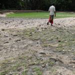 FAO Seeks $16.5 Million to Revitalize Sri Lanka’s Agrifood Sector Post-Cyclone Ditwah Devastation