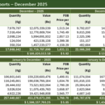 Sri Lanka Achieves 4.74% Increase in Tea Exports for 2025