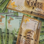 Think Tank Urges Sri Lanka to Harmonize SME Support with Banking Stability