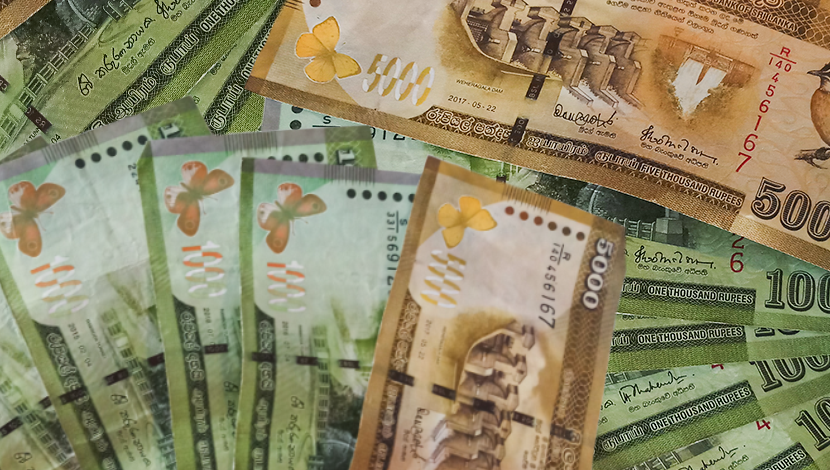 Think Tank Urges Sri Lanka to Harmonize SME Support with Banking Stability