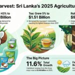 Sri Lanka’s Coconut Exports Soar to Record Heights in 2025; Rubber Declines, Tea Sees Modest Rise