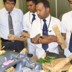 Sri Lanka Customs Reaches 63% of February Revenue Target in Just 12 Days