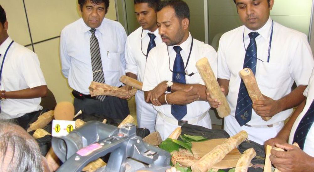 Sri Lanka Customs Reaches 63% of February Revenue Target in Just 12 Days