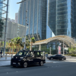 ROBOTAXIS:The Future Arrived — Then Met the Zebra Crossing