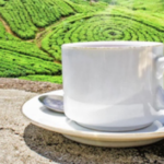 High Tea: England vs Sri Lanka