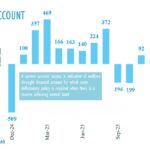 Sri Lanka Achieves $1.7 Billion Current Account Surplus Despite Debt Repayments