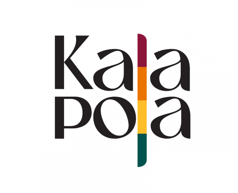 Kala Pola: Sri Lanka’s Iconic Open-Air Art Fair Celebrates 33 Years on February 8, 2026