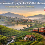 Nuwara Eliya Shines as a Top Asian Hill Station in Agoda’s Latest Rankings