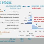 Sri Lanka’s Central Bank Executes Over $1.1 Billion in Unsterilized Forex Sales to Address Debt Repayment