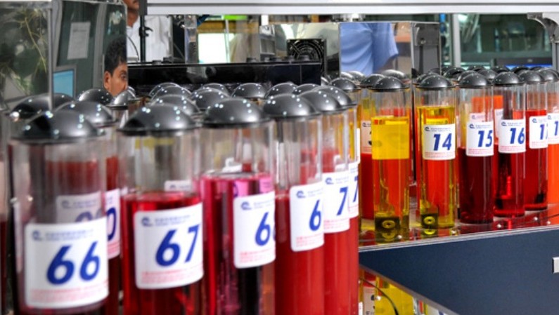 Hayleys Fabric in Sri Lanka Reports 95% Profit Decline in December 2025 Quarter