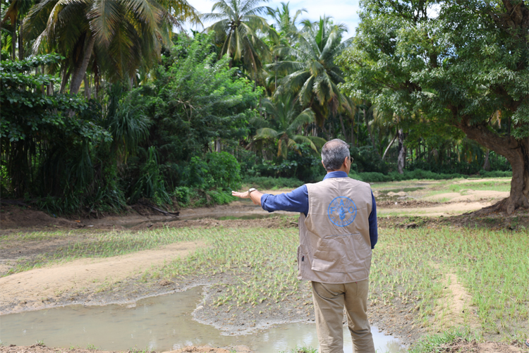 Revitalizing Sri Lanka’s Agriculture Post-Cyclone Ditwah: A Strategic Reform Agenda