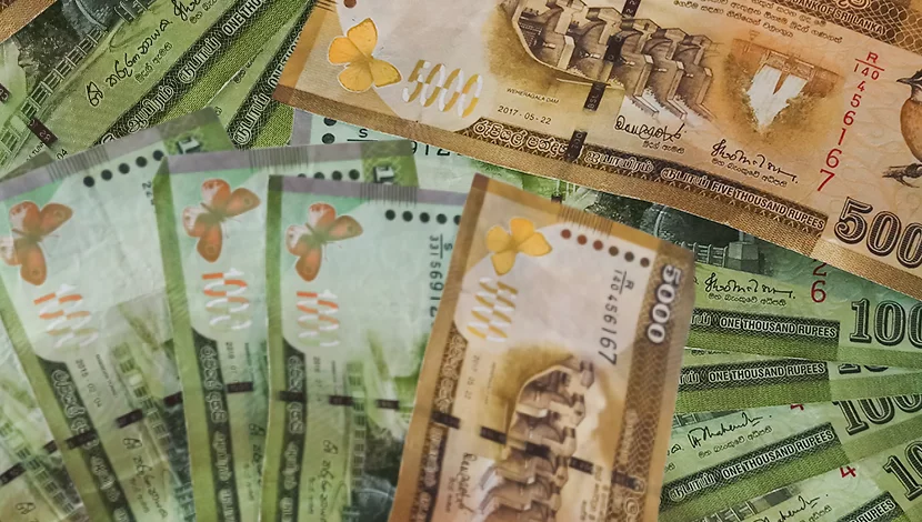 Sri Lanka to Revise 2016 Microfinance Act and Establish New Regulatory Authority