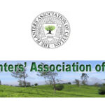 Planters’ Association Urges Fair Electricity Tariffs to Sustain Sri Lanka’s Plantation Industry